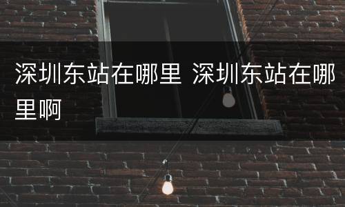 深圳东站在哪里 深圳东站在哪里啊