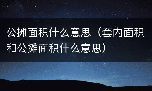 公摊面积什么意思（套内面积和公摊面积什么意思）