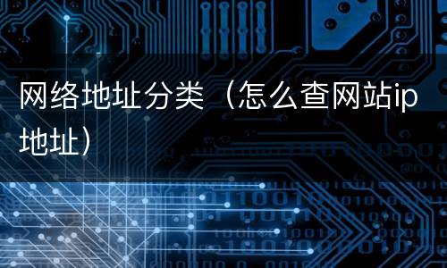 网络地址分类（怎么查网站ip地址）