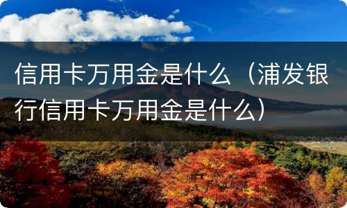 信用卡万用金是什么（浦发银行信用卡万用金是什么）