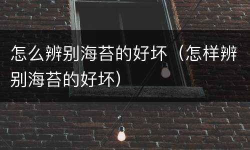 怎么辨别海苔的好坏（怎样辨别海苔的好坏）