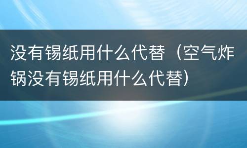 没有锡纸用什么代替（空气炸锅没有锡纸用什么代替）