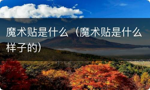 魔术贴是什么（魔术贴是什么样子的）