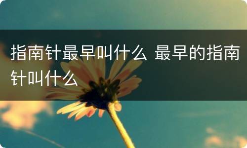 指南针最早叫什么 最早的指南针叫什么