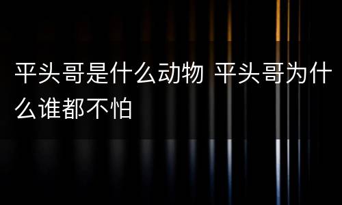 平头哥是什么动物 平头哥为什么谁都不怕