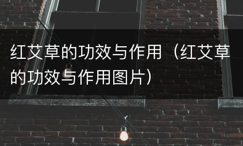 红艾草的功效与作用（红艾草的功效与作用图片）
