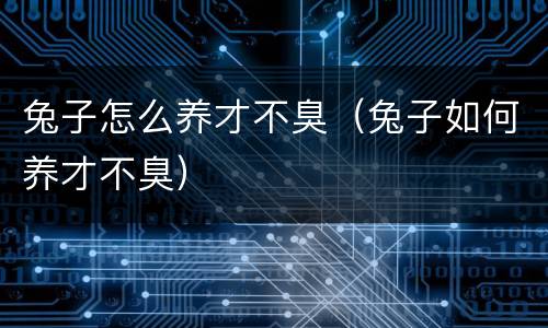 兔子怎么养才不臭（兔子如何养才不臭）