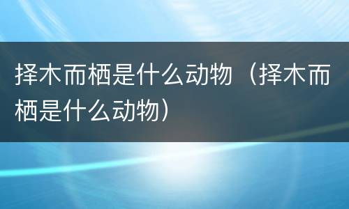 择木而栖是什么动物（择木而栖是什么动物）