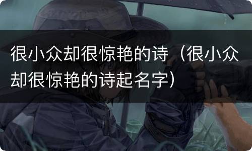 很小众却很惊艳的诗（很小众却很惊艳的诗起名字）
