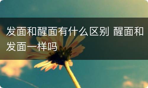 发面和醒面有什么区别 醒面和发面一样吗