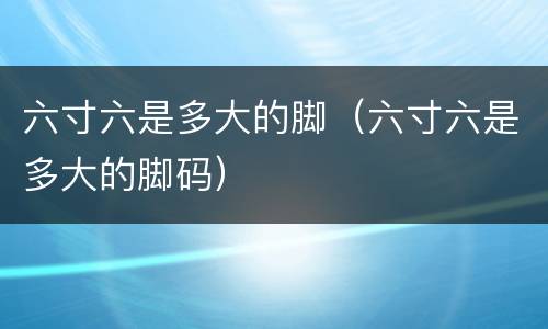 六寸六是多大的脚（六寸六是多大的脚码）