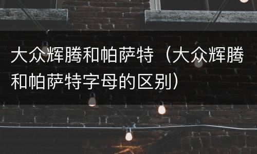 大众辉腾和帕萨特（大众辉腾和帕萨特字母的区别）