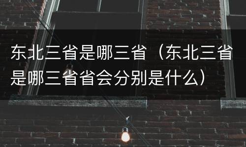东北三省是哪三省（东北三省是哪三省省会分别是什么）