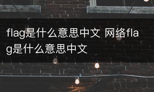 flag是什么意思中文 网络flag是什么意思中文