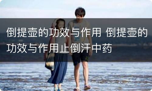 倒提壶的功效与作用 倒提壶的功效与作用止倒汗中药
