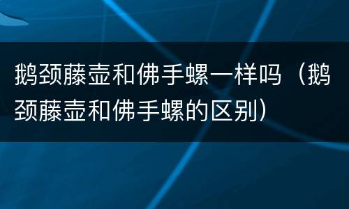 鹅颈藤壶和佛手螺一样吗（鹅颈藤壶和佛手螺的区别）