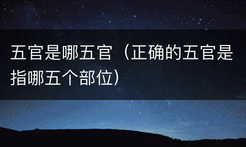 五官是哪五官（正确的五官是指哪五个部位）