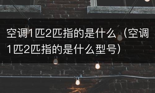 空调1匹2匹指的是什么（空调1匹2匹指的是什么型号）