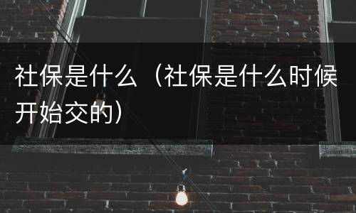 社保是什么（社保是什么时候开始交的）