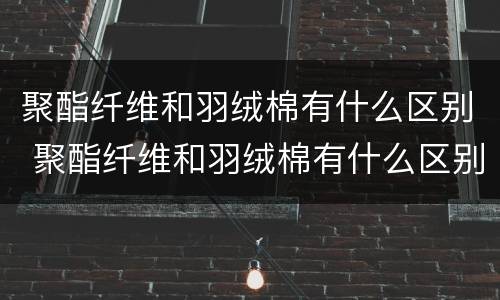 聚酯纤维和羽绒棉有什么区别 聚酯纤维和羽绒棉有什么区别哪个好
