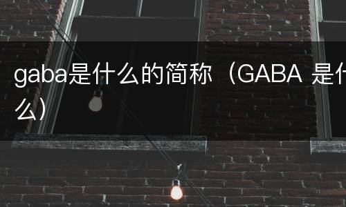 gaba是什么的简称（GABA 是什么）
