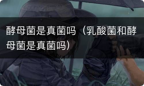 酵母菌是真菌吗（乳酸菌和酵母菌是真菌吗）