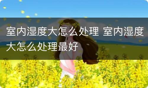 室内湿度大怎么处理 室内湿度大怎么处理最好
