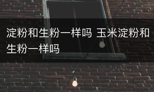 淀粉和生粉一样吗 玉米淀粉和生粉一样吗