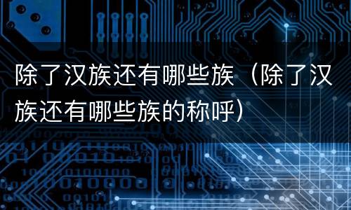 除了汉族还有哪些族（除了汉族还有哪些族的称呼）