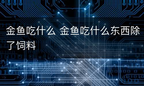 金鱼吃什么 金鱼吃什么东西除了饲料