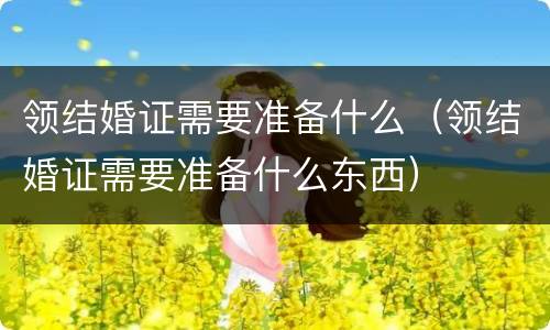 领结婚证需要准备什么（领结婚证需要准备什么东西）