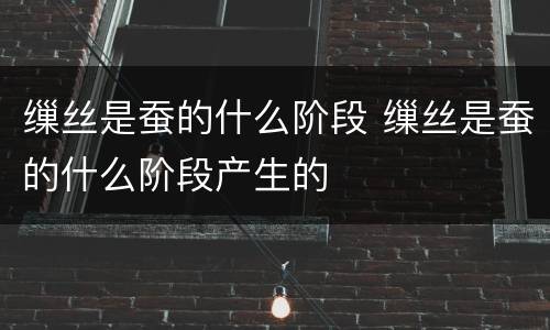 缫丝是蚕的什么阶段 缫丝是蚕的什么阶段产生的