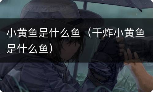 小黄鱼是什么鱼（干炸小黄鱼是什么鱼）
