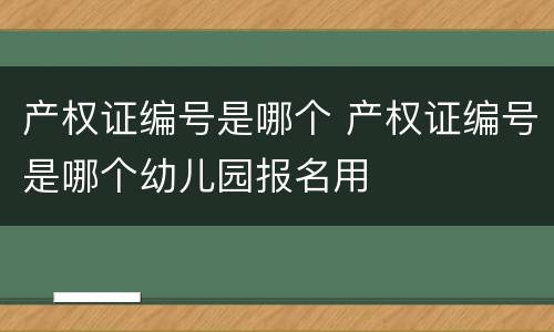 产权证编号是哪个 产权证编号是哪个幼儿园报名用