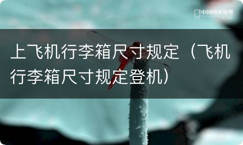 上飞机行李箱尺寸规定（飞机行李箱尺寸规定登机）
