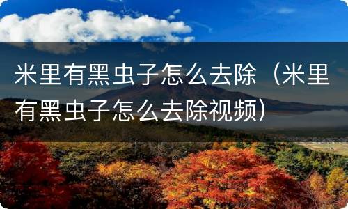 米里有黑虫子怎么去除（米里有黑虫子怎么去除视频）