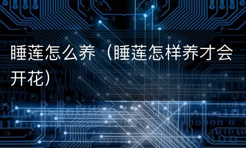 睡莲怎么养（睡莲怎样养才会开花）