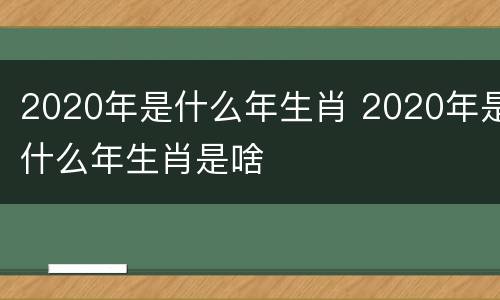 2020年是什么年生肖 2020年是什么年生肖是啥