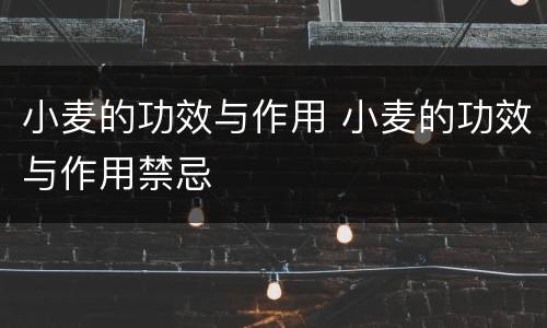 小麦的功效与作用 小麦的功效与作用禁忌