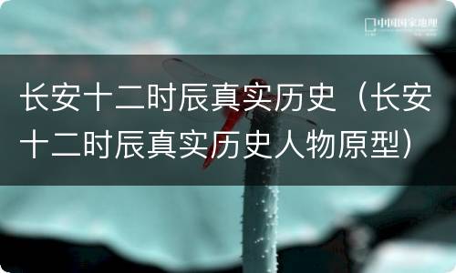 长安十二时辰真实历史（长安十二时辰真实历史人物原型）