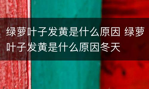 绿萝叶子发黄是什么原因 绿萝叶子发黄是什么原因冬天
