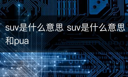 suv是什么意思 suv是什么意思和pua