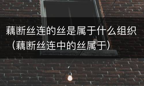 藕断丝连的丝是属于什么组织（藕断丝连中的丝属于）