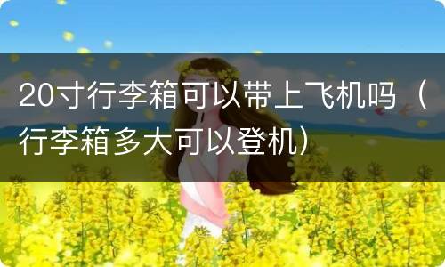 20寸行李箱可以带上飞机吗（行李箱多大可以登机）