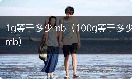1g等于多少mb（100g等于多少mb）