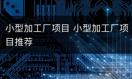 小型加工厂项目 小型加工厂项目推荐