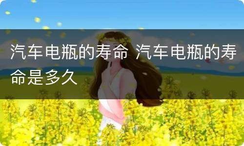 汽车电瓶的寿命 汽车电瓶的寿命是多久