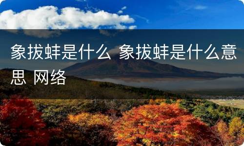 象拔蚌是什么 象拔蚌是什么意思 网络