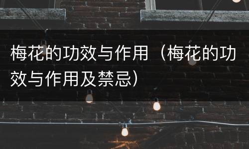 梅花的功效与作用（梅花的功效与作用及禁忌）
