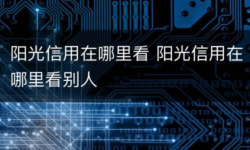阳光信用在哪里看 阳光信用在哪里看别人